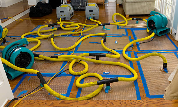 Professional Storm Water Damage Restoration technician working in Mount Carmel, OH